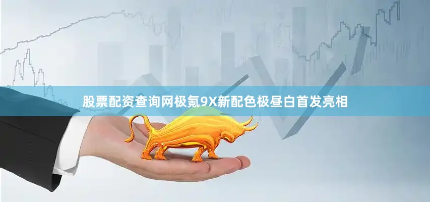 股票配资查询网极氪9X新配色极昼白首发亮相
