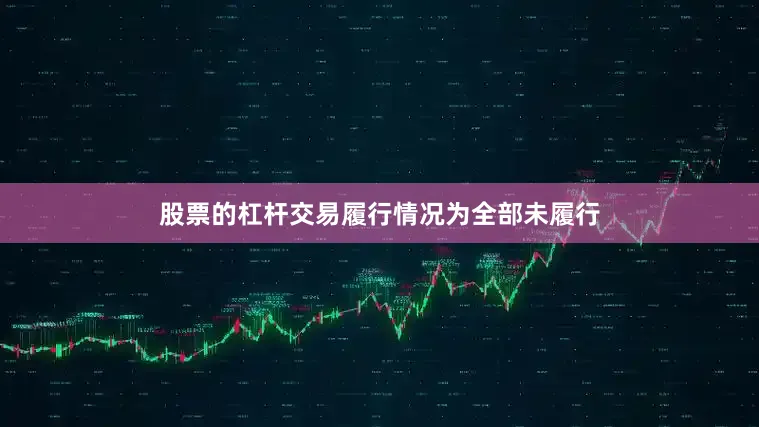 股票的杠杆交易履行情况为全部未履行