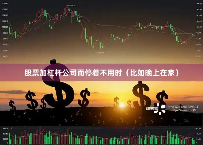 股票加杠杆公司而停着不用时（比如晚上在家）