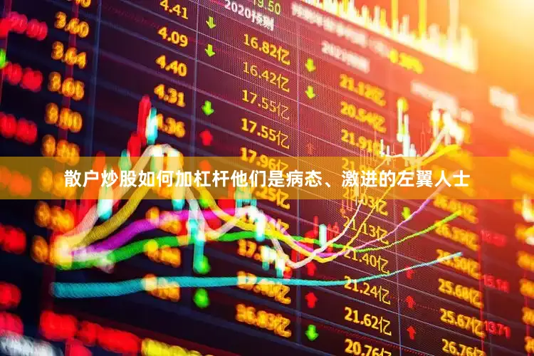 散户炒股如何加杠杆他们是病态、激进的左翼人士